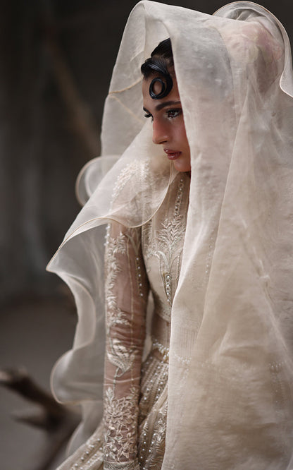 Threads and Motifs | Formal Dresses 25 | Organza Embroidered Blouse And Lehenga