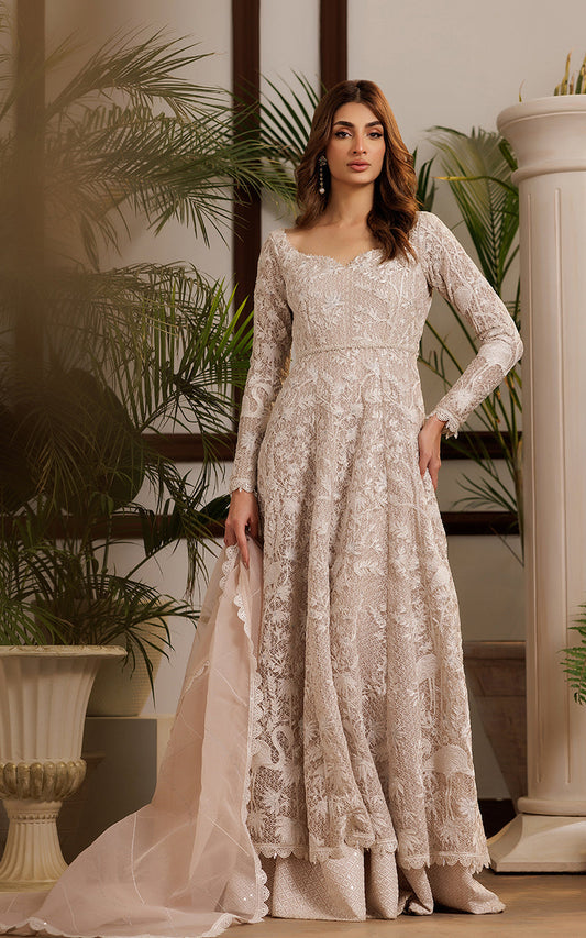 Threads and Motifs | Formal Dresses 25 | Net Embroidered Dress - Ladies Clothes - Maria Faisal
