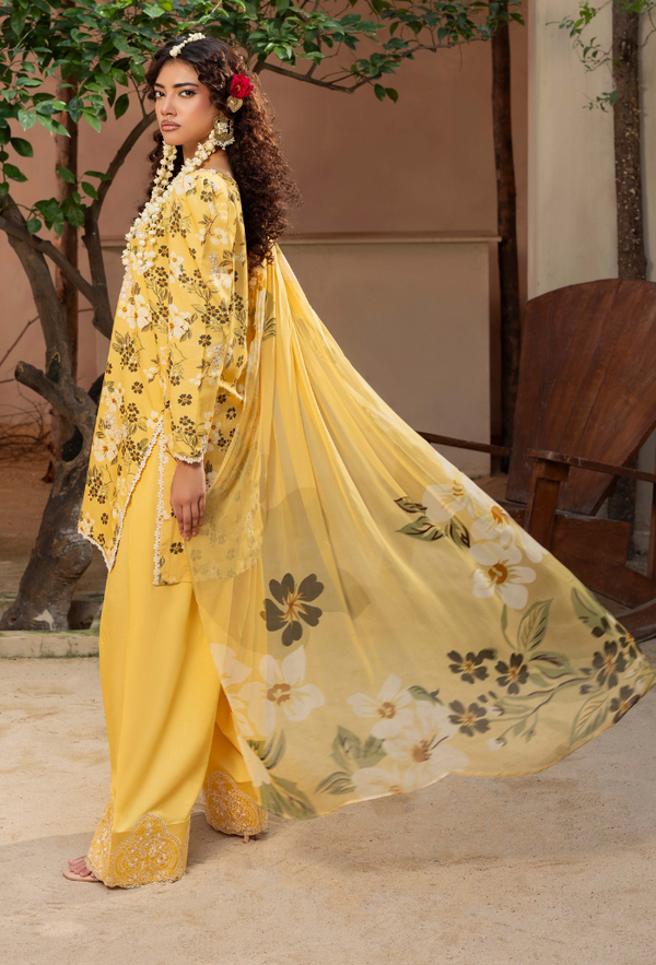 Humdum | Zaiba 25 | D03 - Ladies Clothes - Maria Faisal