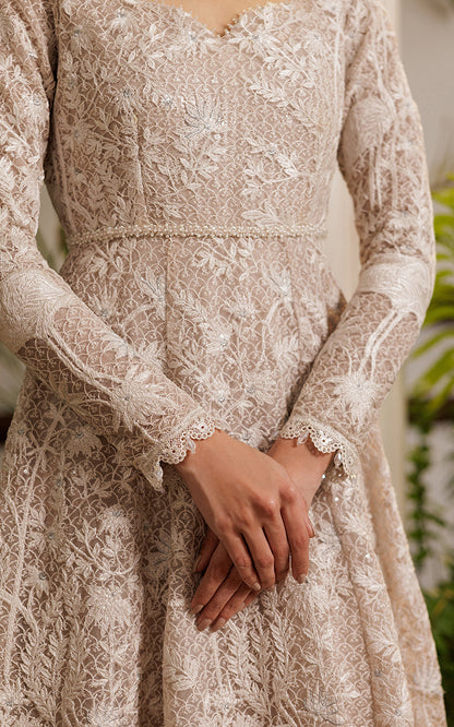 Threads and Motifs | Formal Dresses 25 | Net Embroidered Dress - Ladies Clothes - Maria Faisal