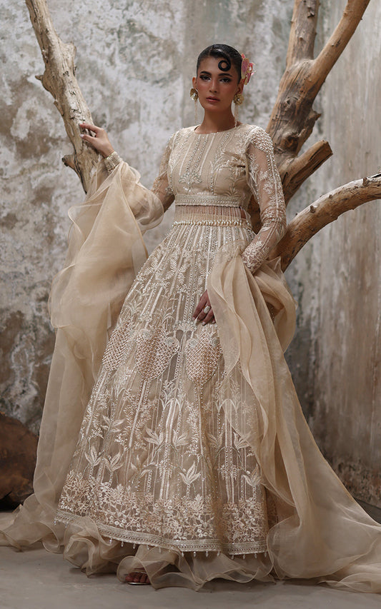 Threads and Motifs | Formal Dresses 25 | Organza Embroidered Blouse And Lehenga - Ladies Clothes - Maria Faisal