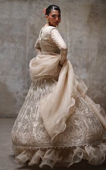 Threads and Motifs | Formal Dresses 25 | Organza Embroidered Blouse And Lehenga