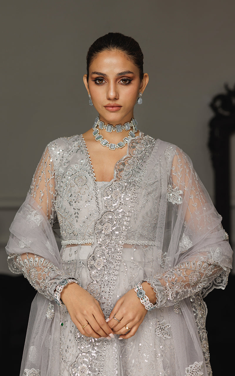 Threads and Motifs | Formal Dresses 25 | Net Embroidered Dress With Skirt And Dupatta