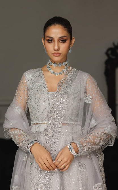 Threads and Motifs | Formal Dresses 25 | Net Embroidered Dress With Skirt And Dupatta