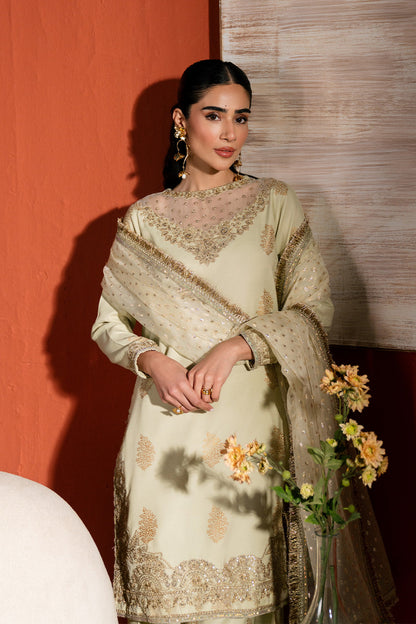 Neeshay | Raw Silk | RTW-RS-04 - Ladies Clothes - Maria Faisal