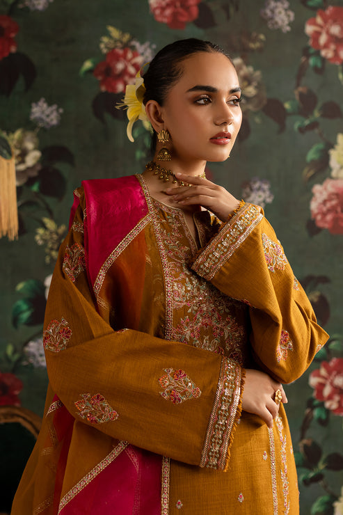 Emaan Adeel | Rangrez Collection | ARZOO - Ladies Clothes 