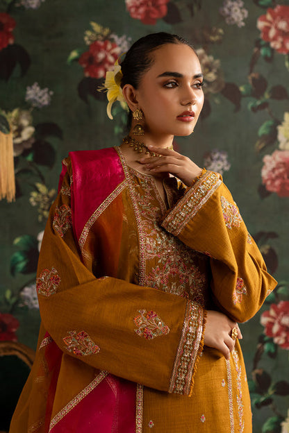 Emaan Adeel | Rangrez Collection | ARZOO - Ladies Clothes 