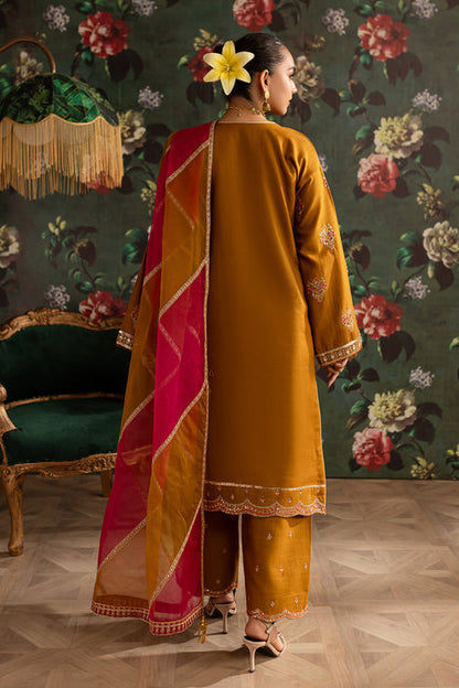 Emaan Adeel | Rangrez Collection | ARZOO - Ladies Clothes 