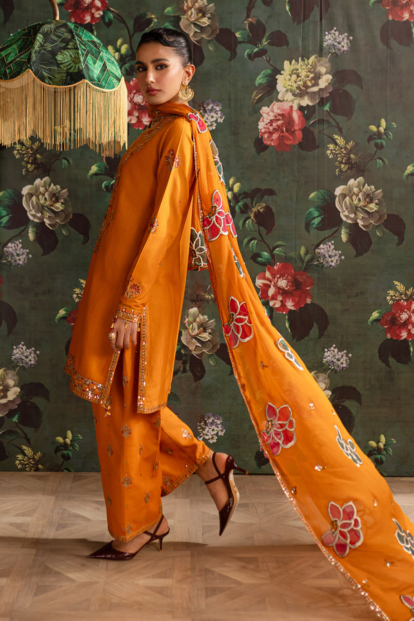 Emaan Adeel | Rangrez Collection | SHAMA - Designer Dress with Intricate embroidery and embellishments. Shop elegent wedding dress at Maria Faisal.