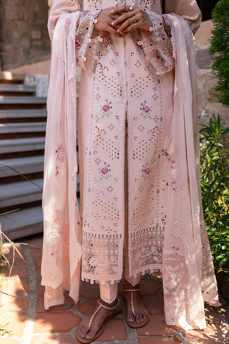 Qalamkar | Q Line Lawn 25 | QM-14 Neha by Maria Faisal - Registered Vendor of : Qalamkar - type : Ladies Clothes - 100% original wedding dresses
