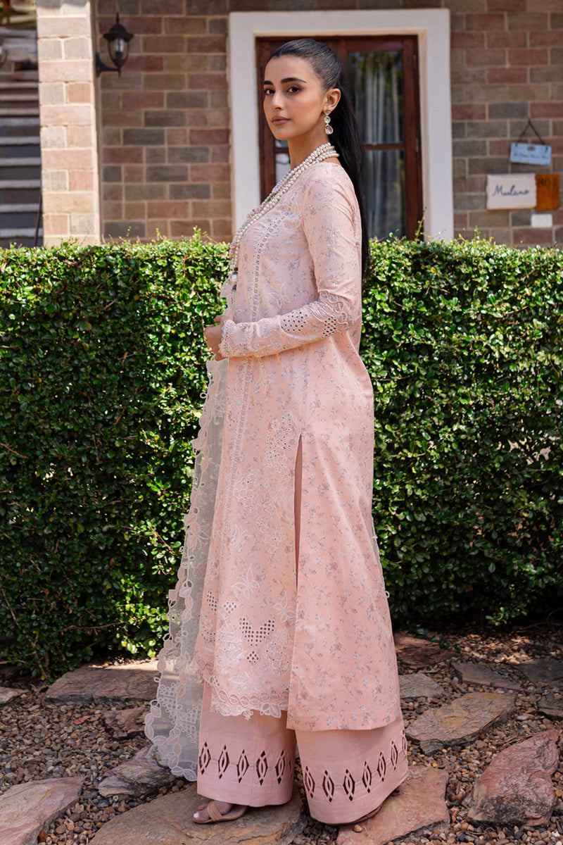 Qalamkar | Q Line Lawn 25 | QM-12 Miso by Maria Faisal - Registered Vendor of : Qalamkar - type : Ladies Clothes - 100% original wedding dresses