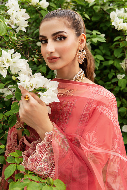 Ramsha | Luxury Lawn 24 | Y-807 - Ladies Clothes - Maria Faisal