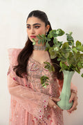 Ramsha | Minhal Organza Collection | M-1007 - Waniyas