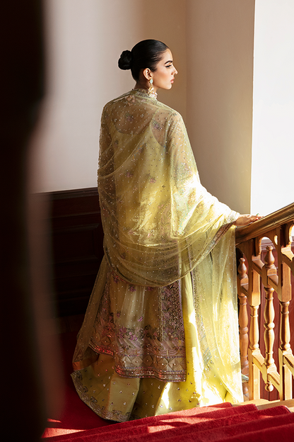 Soraya | Lumene Festive | OLIVINE - Ladies Clothes - Maria Faisal