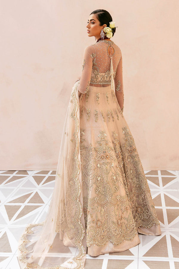 Soraya | Amelia Luxury Formals | Elara - Ladies Clothes - Maria Faisal