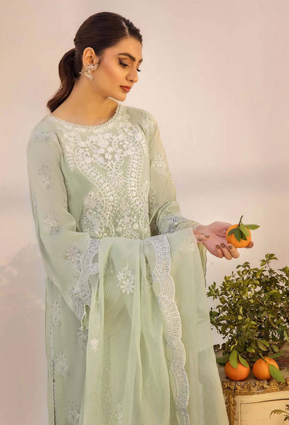 Adans Libas | Inara 25 | CHIKANKARI 4775 by Maria Faisal - Registered Vendor of : Adans Libas - type : Ladies Clothes - 100% original wedding dresses