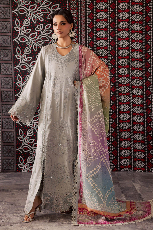 NE-207 – authentic Pakistani dress from the Bazaar Luxe 25 collection for women in the UK