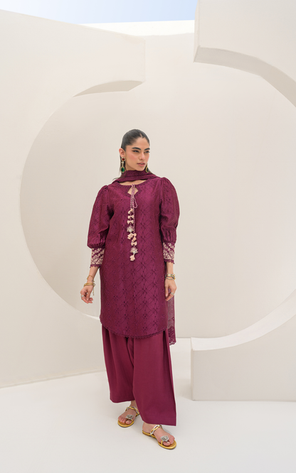 Sana Abbas | Ara Eid Luxe | Zerin - Luxury Dress - available at Maria Faisal in UK and USA.