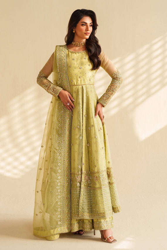 Pistachio Embroidered Organza maxi style - Naqshi | Feemora Organza Raw Silk | Zeesha