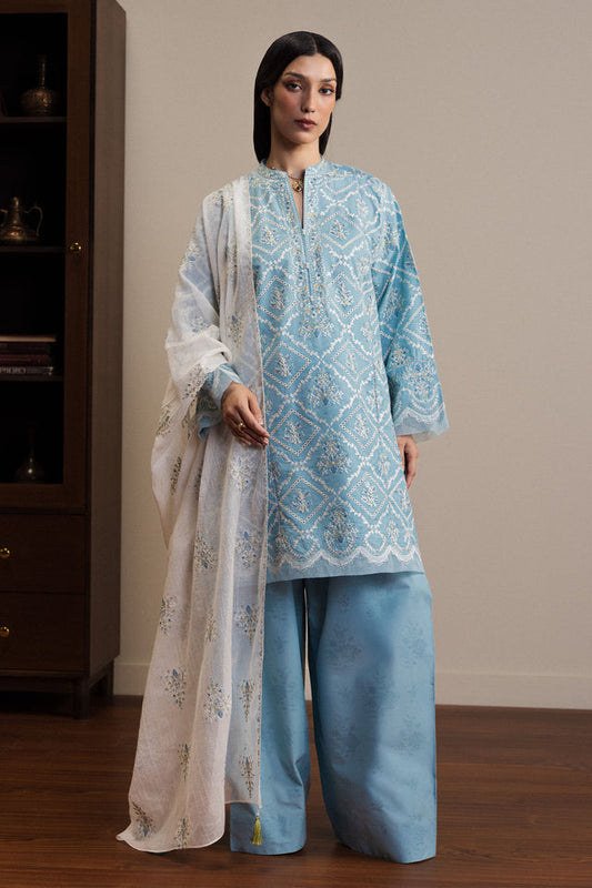 Zara Shahjahan | Pret 26 | AASMAA - Luxury Dress - available at Maria Faisal in UK and USA.
