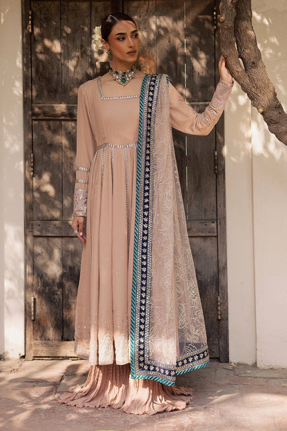 NW-117 – authentic Pakistani dress from the Maya Velvet collection for women in the UK