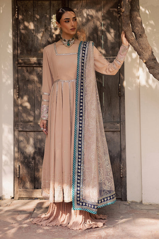 NW-117 – authentic Pakistani dress from the Maya Velvet collection for women in the UK
