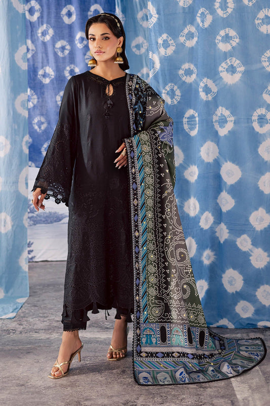 NE-209 – authentic Pakistani dress from the Bazaar Luxe 25 collection for women in the UK