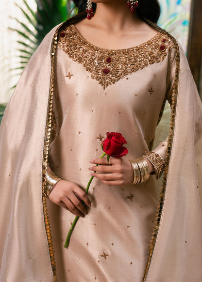 Haseens | Dastakh Pret | Riffat - Dress - available at Maria Faisal in UK and USA.