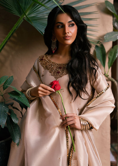 Haseens | Dastakh Pret | Riffat - Dress - available at Maria Faisal in UK and USA.