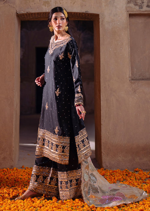 Haseens | Darbar Formals | Shabrang - Dress - available at Maria Faisal in UK and USA.