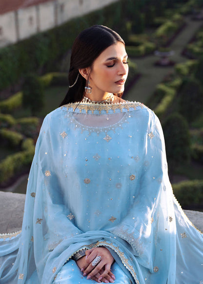 Haseens | Darbar Formals | €b«na - Dress - available at Maria Faisal in UK and USA.