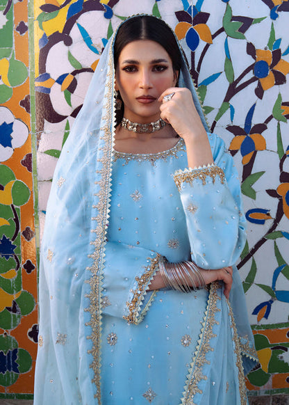 Haseens | Darbar Formals | €b«na - Dress - available at Maria Faisal in UK and USA.