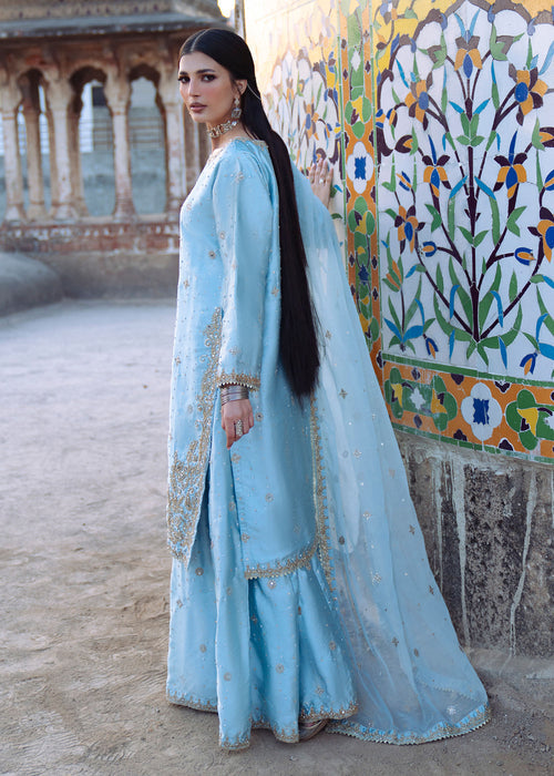Haseens | Darbar Formals | €b«na - Dress - available at Maria Faisal in UK and USA.