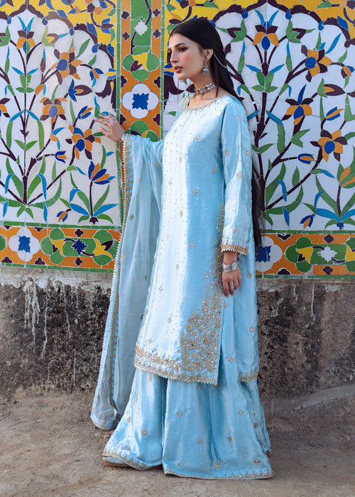 Haseens | Darbar Formals | €b«na - Dress - available at Maria Faisal in UK and USA.