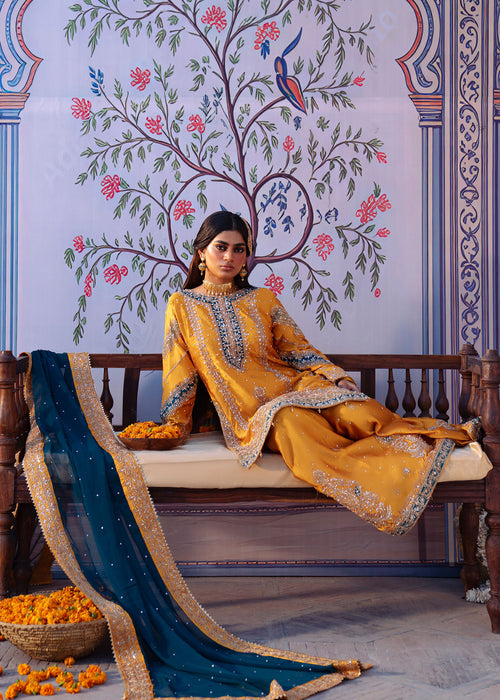 Haseens | Darbar Formals | Mehr�b - Dress - available at Maria Faisal in UK and USA.