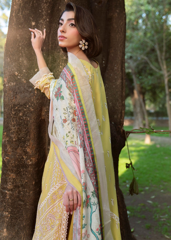 Haseens | Zuri Pret | Zarmehr - Luxury Dress - available at Maria Faisal in UK and USA.