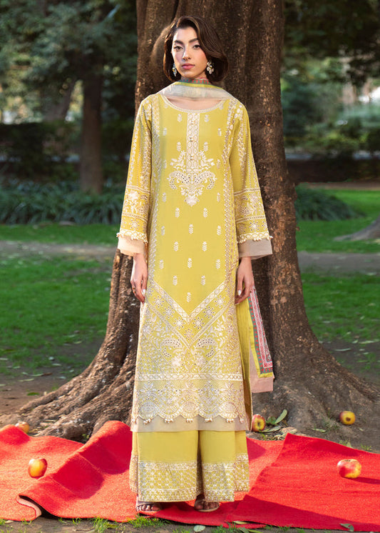 Haseens | Zuri Pret | Zarmehr - Luxury Dress - available at Maria Faisal in UK and USA.
