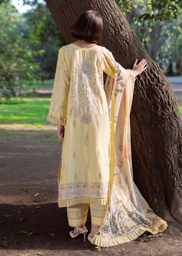 Haseens | Zuri Pret | Elvan - Luxury Dress - available at Maria Faisal in UK and USA.
