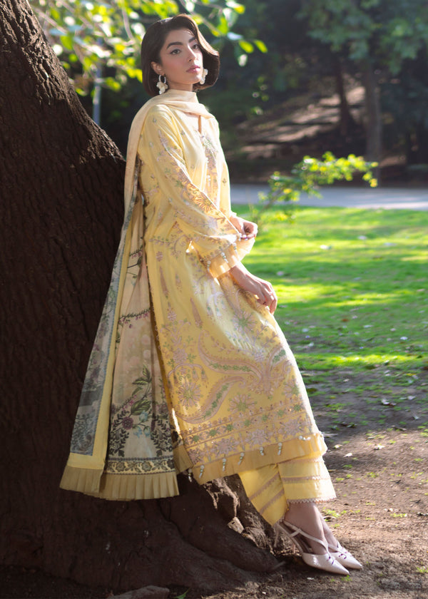 Haseens | Zuri Pret | Elvan - Luxury Dress - available at Maria Faisal in UK and USA.