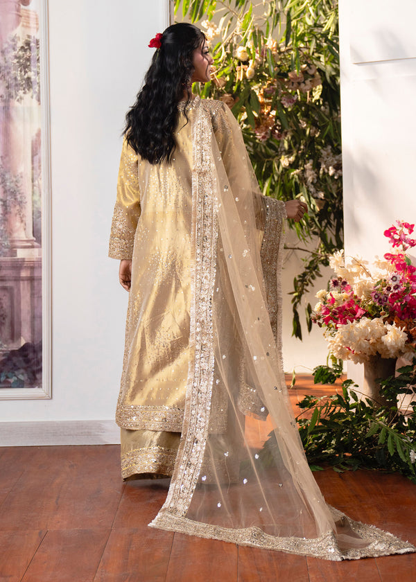 Haseens | Naira Formals | Sakeena - Formal Dress - available at Maria Faisal in UK and USA.
