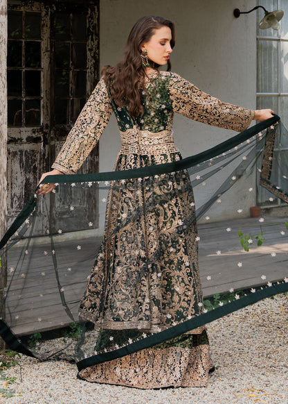 Haseens | Ayra Formals | Malaak - Formal Dress - available at Maria Faisal in UK and USA.