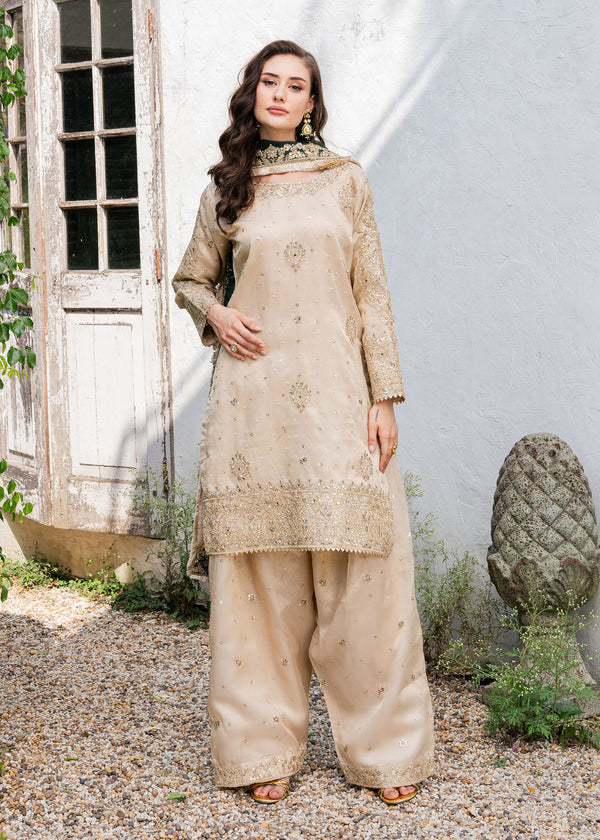 Haseens | Ayra Formals | Alizeh - Formal Dress - available at Maria Faisal in UK and USA.