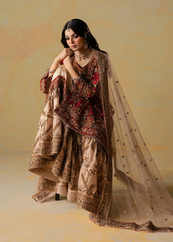 Haseens | Retaj Formals | Rameen - Formal Dress - available at Maria Faisal in UK and USA.