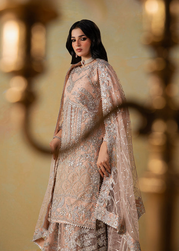 Haseens | Retaj Formals | Mirab - Formal Dress - available at Maria Faisal in UK and USA.