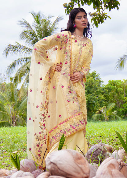 Haseens | Raha Pret | Inshara - Luxury Dress - available at Maria Faisal in UK and USA.