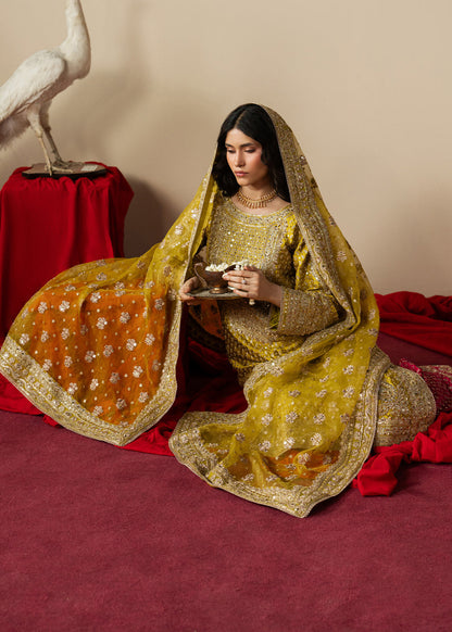 Haseens | Gulal Formals | Zarqam - Formal Dress - available at Maria Faisal in UK and USA.
