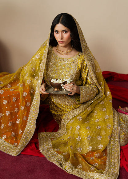 Haseens | Gulal Formals | Zarqam - Formal Dress - available at Maria Faisal in UK and USA.