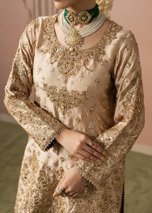 Haseens | Naqs Formals |Insiya - Formal Dress - available at Maria Faisal in UK and USA.