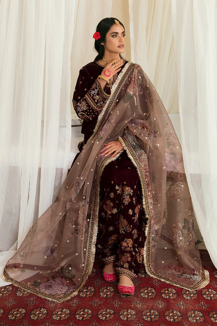 UF-250 – authentic Pakistani dress from the Velvet 25 collection for women in the UK