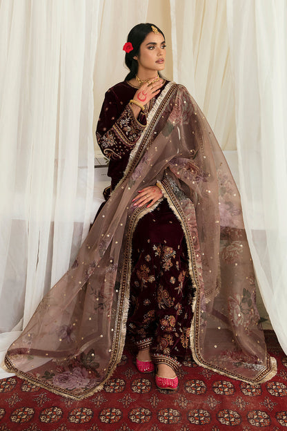 UF-250 – authentic Pakistani dress from the Velvet 25 collection for women in the UK